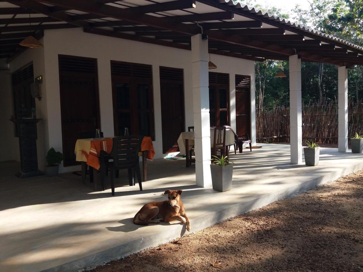 Cashew Villa Hiriketiya Діквелла Екстер'єр фото