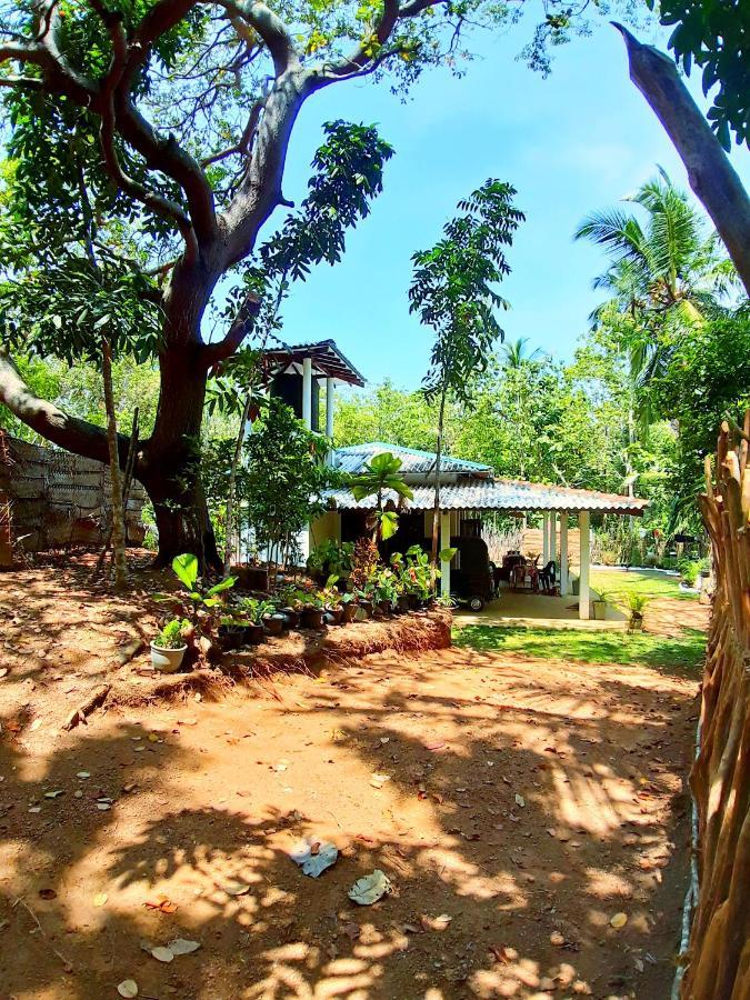 Cashew Villa Hiriketiya Діквелла Екстер'єр фото
